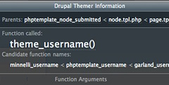 screenshot: theme developer module